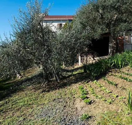 Holiday home All'Ombra Di Tre Giganti