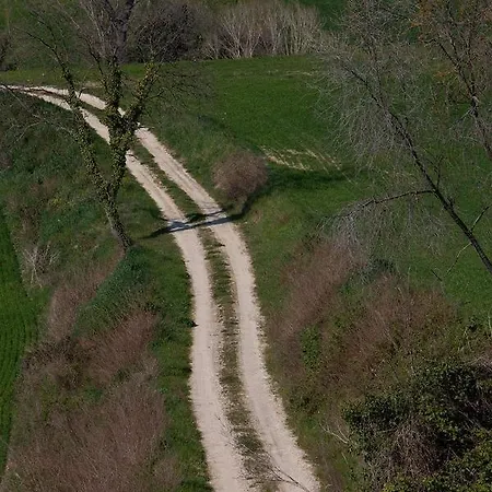All'Ombra Di Tre Giganti