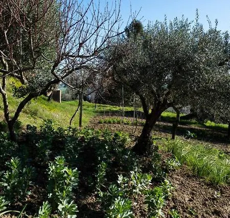All'Ombra Di Tre Giganti *
